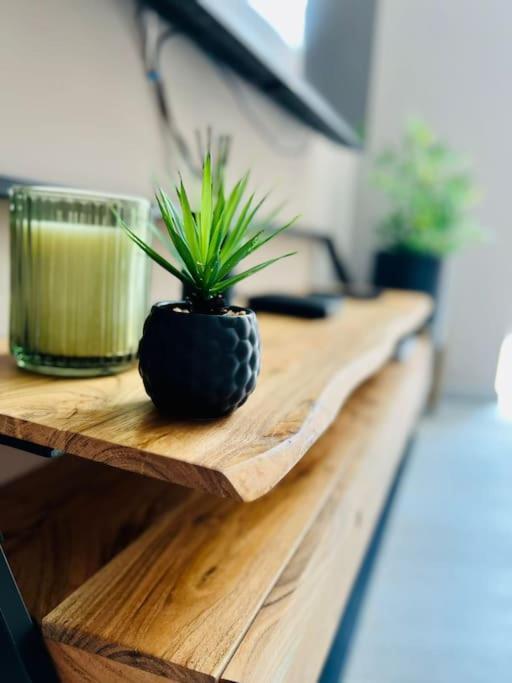 Appartement Tropical Liege Bagian luar foto